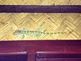 ::crappy iphone in the dark photo, but finally caught one of those noisy tuko lizards outside our room!::