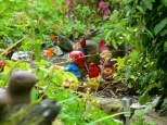 ::it's nearly physically impossible for me to not sing "rolling with the gnomies" when I see gnomes::