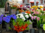 ::flower market::