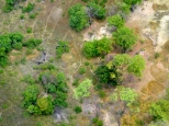 ::elephants from the air::